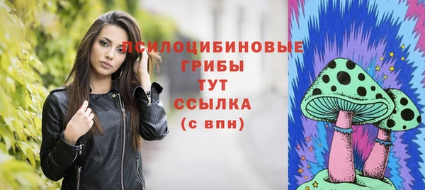 молекула духа Кукмор