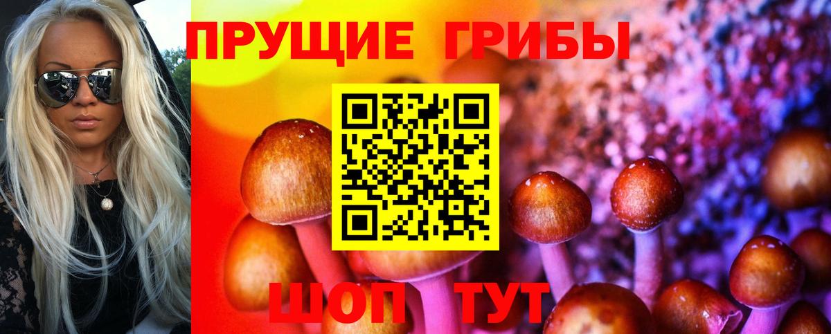 Псилоцибиновые грибы Psilocybe  Вход с VPN  Янаул 